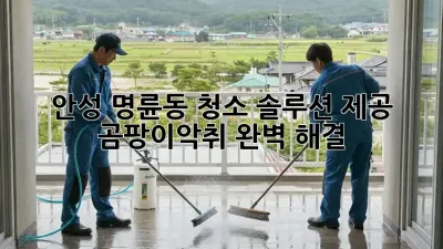 안성 명륜동 청소 솔루션 제공 🏡✨ 곰팡이/악취 완벽 해결!