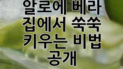 알로에 베라 🌱: 집에서 쑥쑥 키우는 비법 공개!